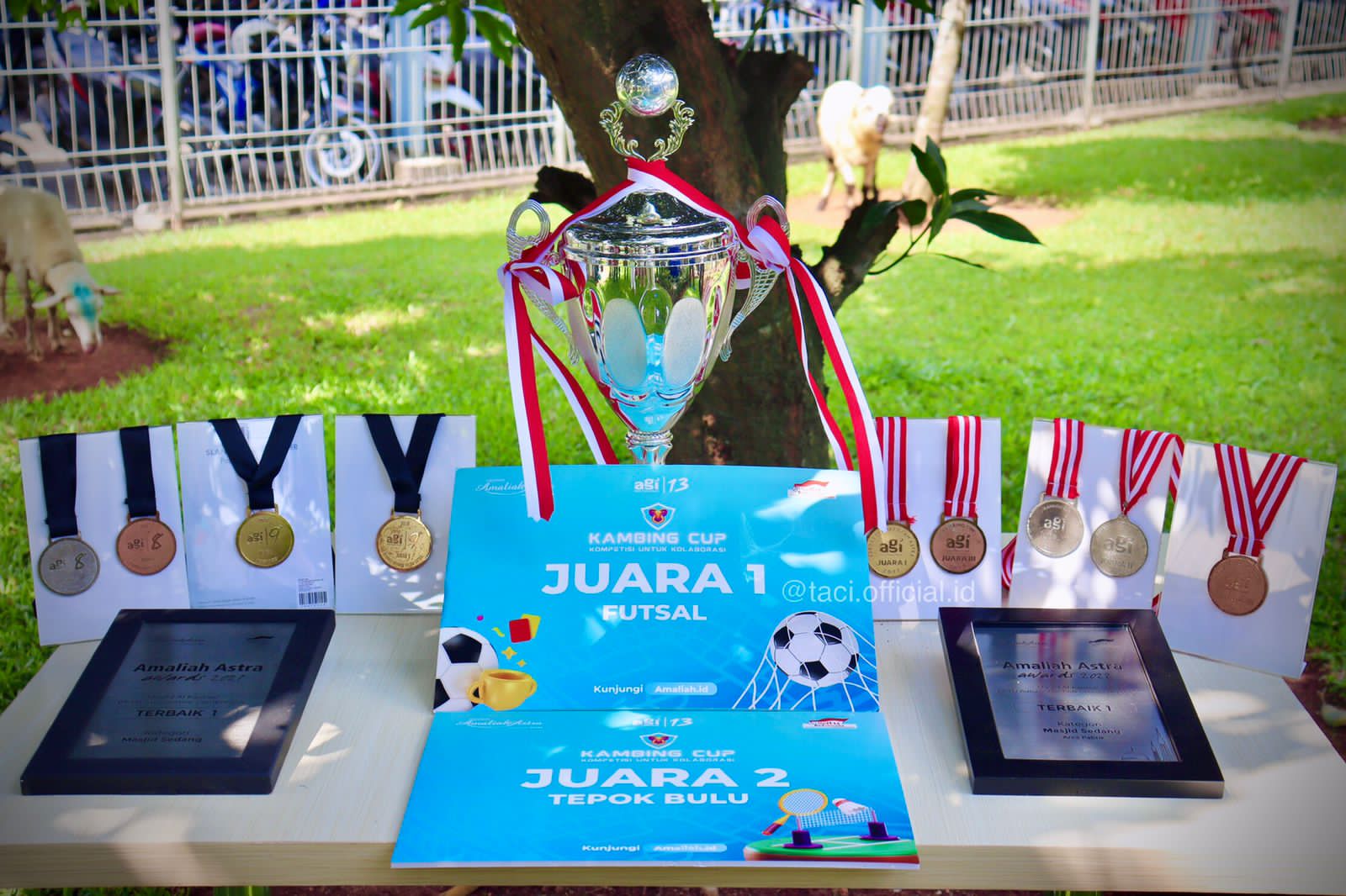 piala