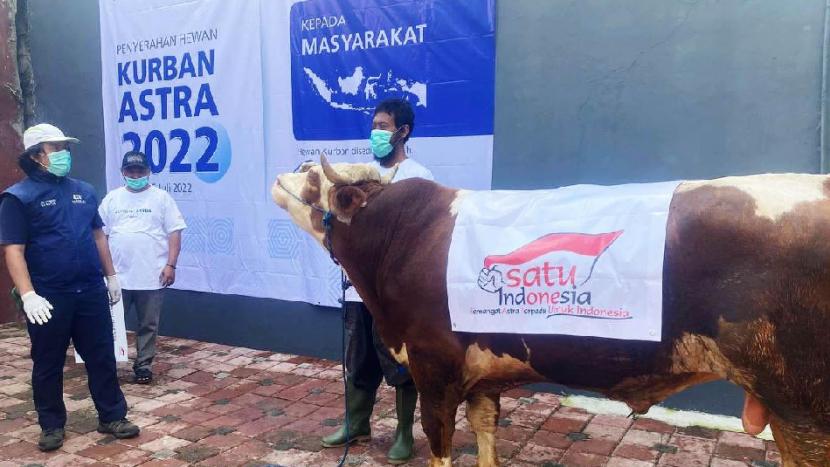 Penyerahan hewan kurban 2022