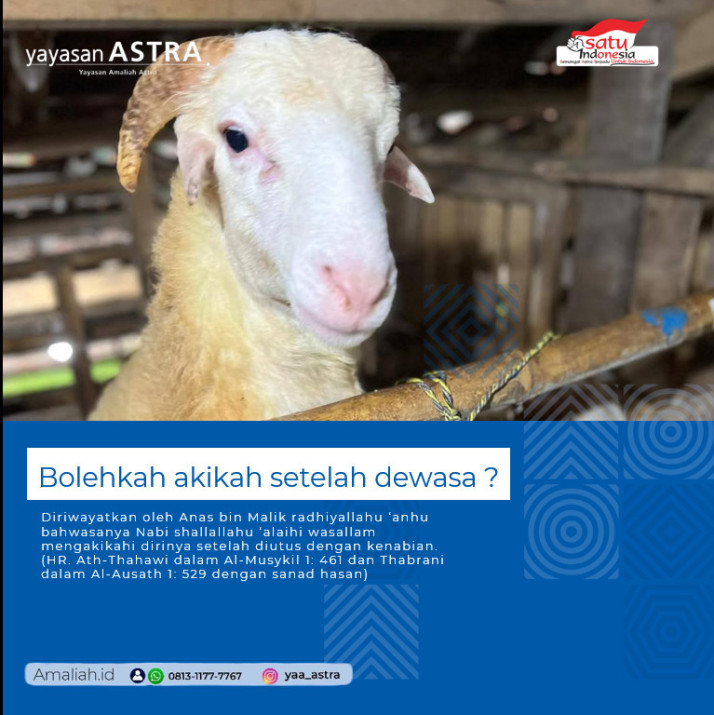 WhatsApp Image 2025-02-24 at 15.53.58.jpeg