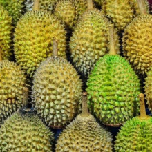Durian